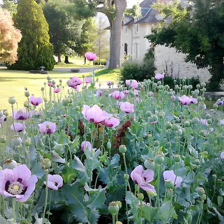 La Maison Du Jardin Prázdninový dům *