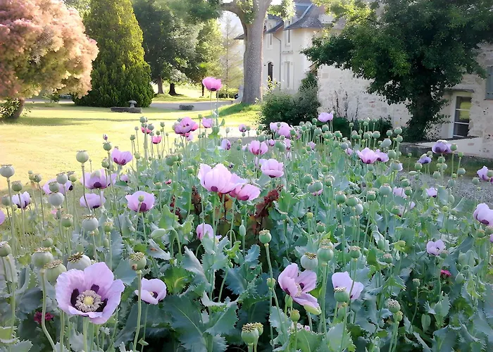 La Maison Du Jardin Dom wakacyjny Penne-dʼAgenais